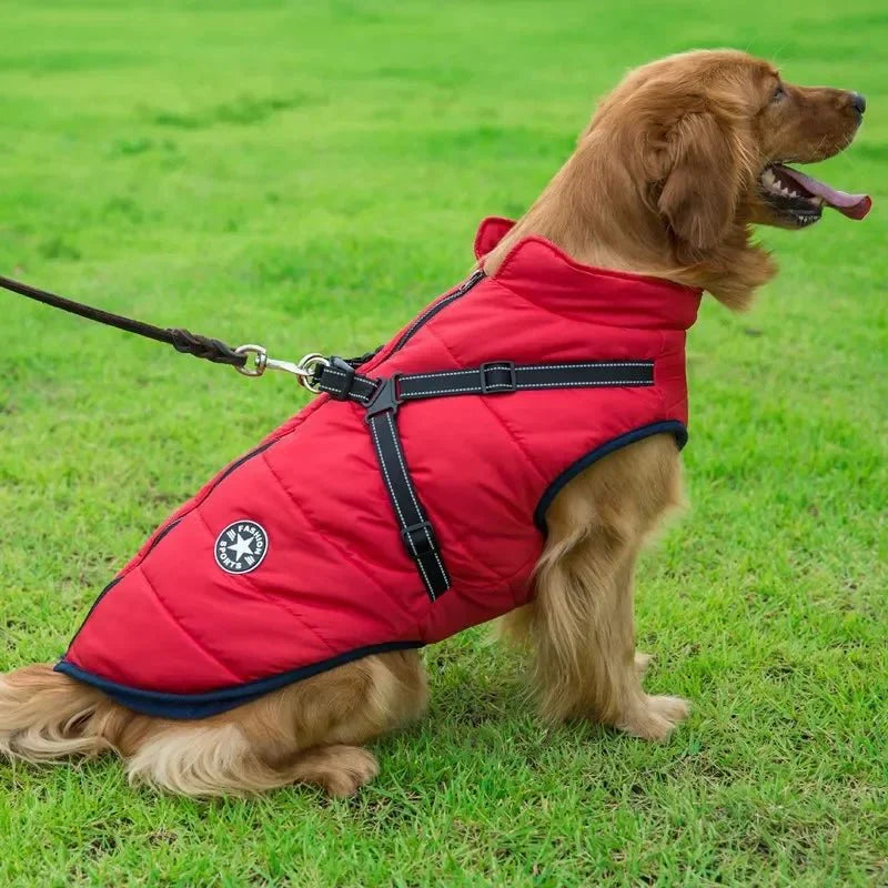 Manteau Fashion Sport Chien