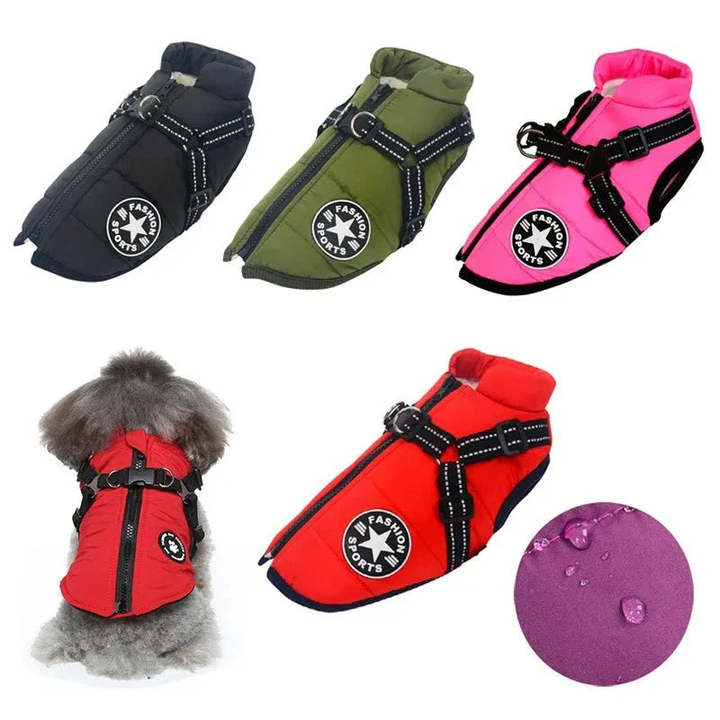 Manteau Fashion Sport Chien