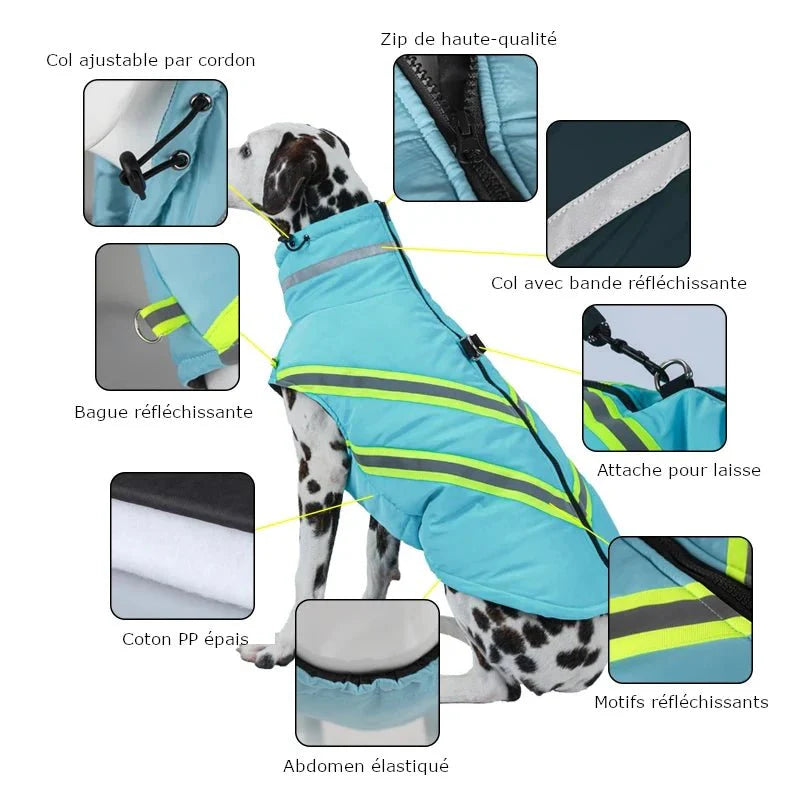 Manteau Fluo Chien