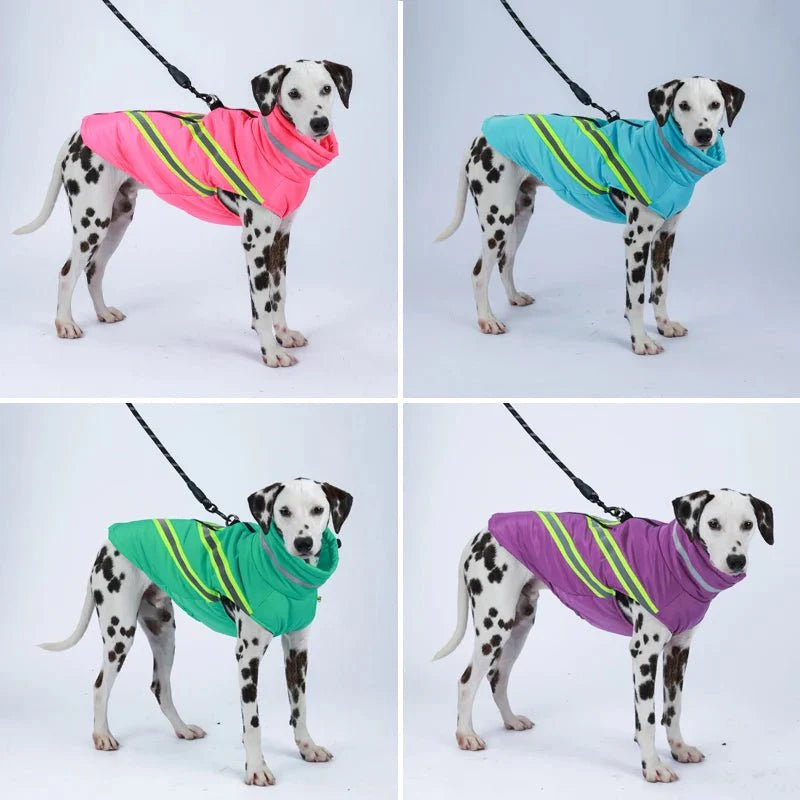 Manteau Fluo Chien
