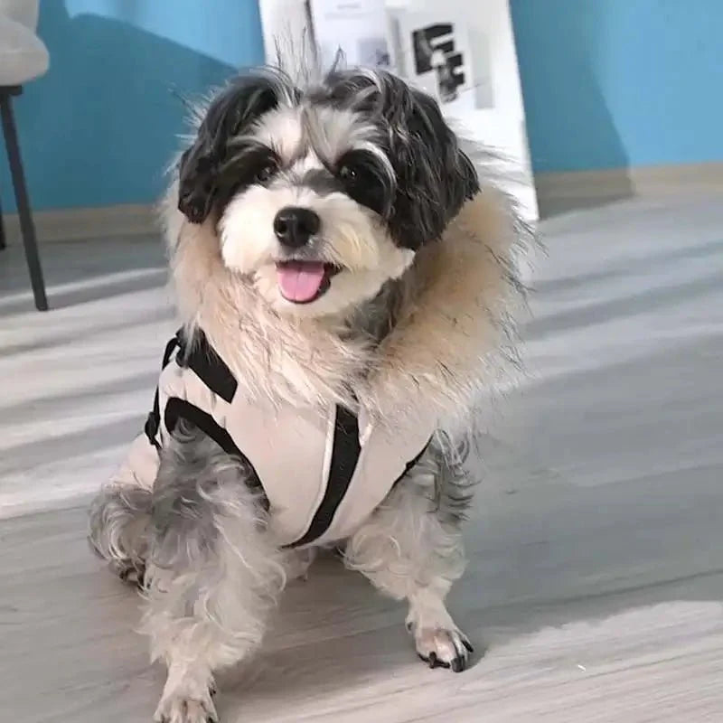 Manteau Fourrure Chien
