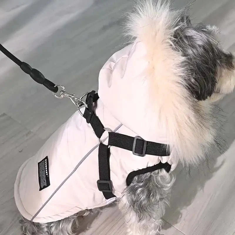 Manteau Fourrure Chien