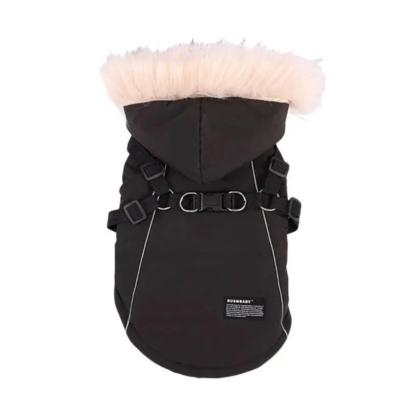 Manteau Fourrure Chien