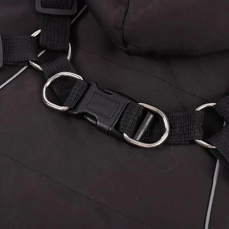 Manteau Fourrure Chien
