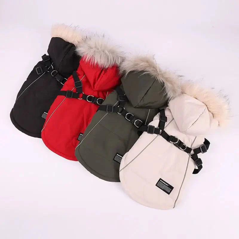 Manteau Fourrure Chien