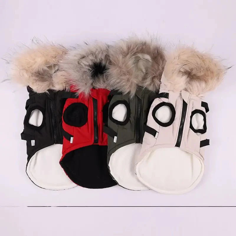 Manteau Fourrure Chien