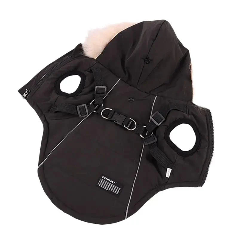Manteau Fourrure Chien