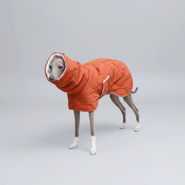Manteau Imperméable Hiver pour Lévrier Whippet – Coupe Ajustable