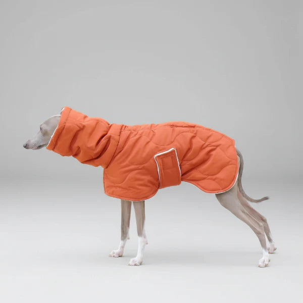 Manteau Imperméable Hiver pour Lévrier Whippet – Coupe Ajustable