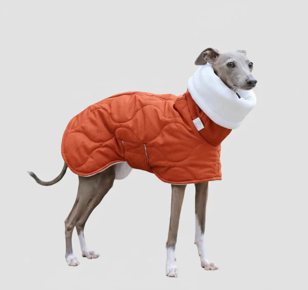 Manteau Imperméable Hiver pour Lévrier Whippet – Coupe Ajustable