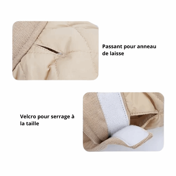 Manteau Hiver Matelassé Pour Teckel - Les Bonnes Affaires