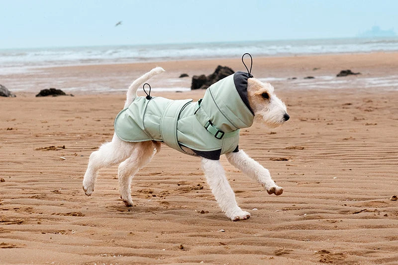 Manteau Imperméable Pour Chien Avec Bande Réfléchissante