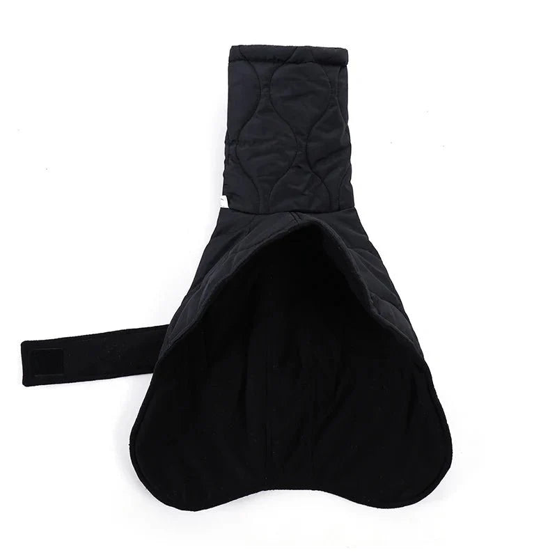 Manteau Petit Lévrier Italien