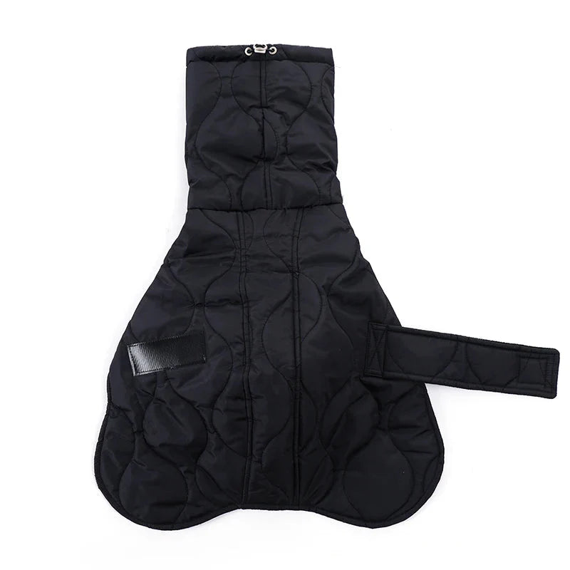 Manteau Petit Lévrier Italien