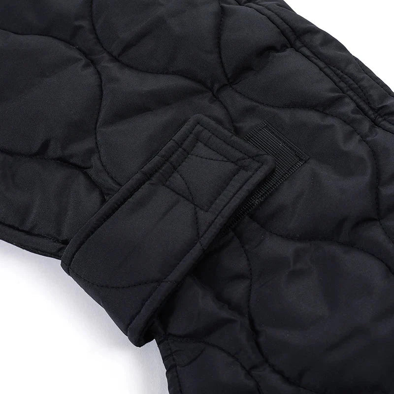 Manteau Petit Lévrier Italien