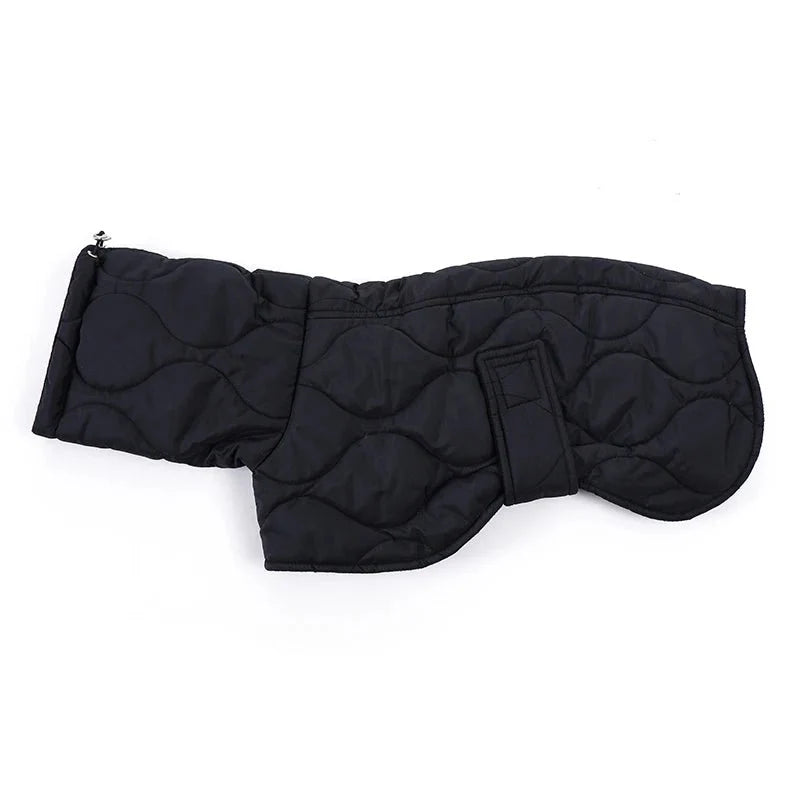 Manteau Petit Lévrier Italien