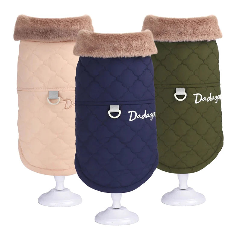 Manteau pour Bichon Maltais / Frisé