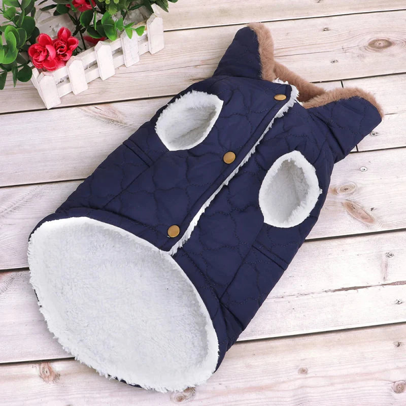 Manteau pour Bichon Maltais / Frisé