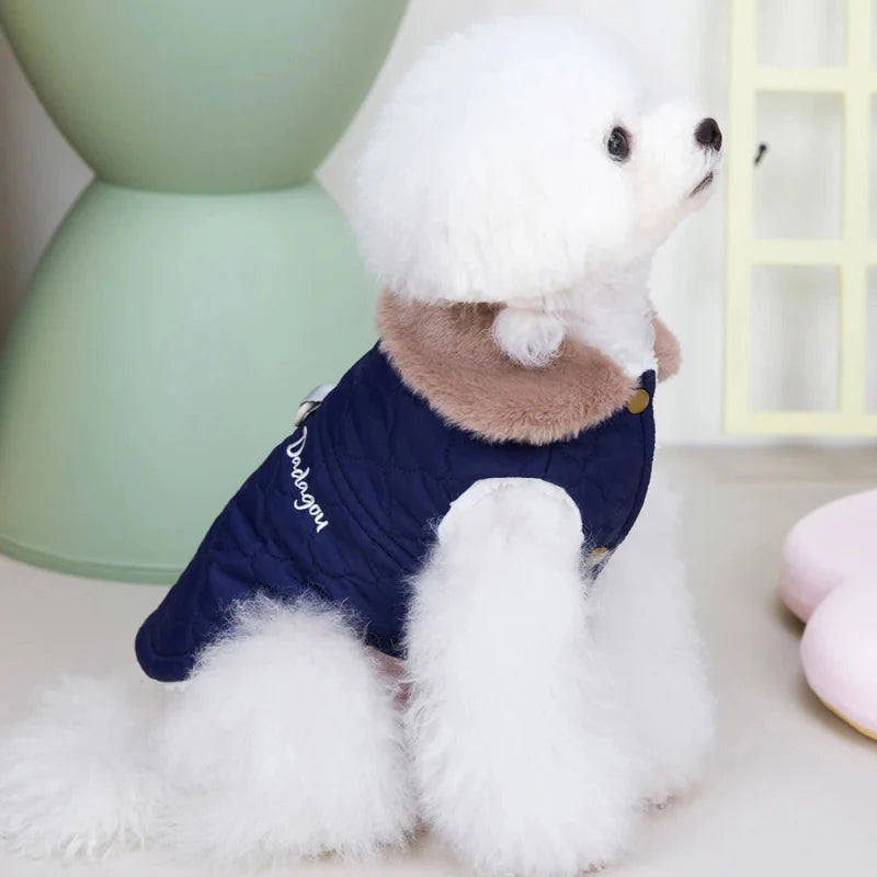 Manteau pour Bichon Maltais / Frisé