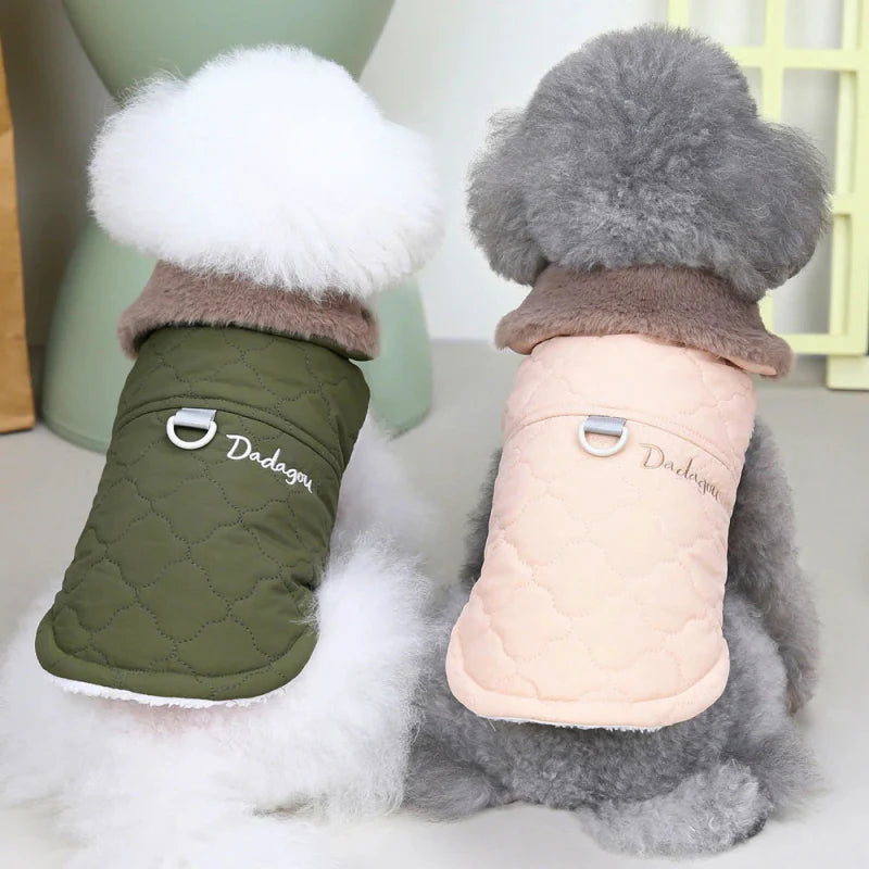 Manteau pour Bichon Maltais / Frisé
