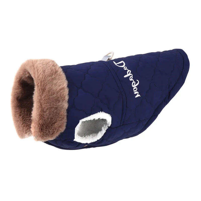 Manteau pour Bichon Maltais / Frisé