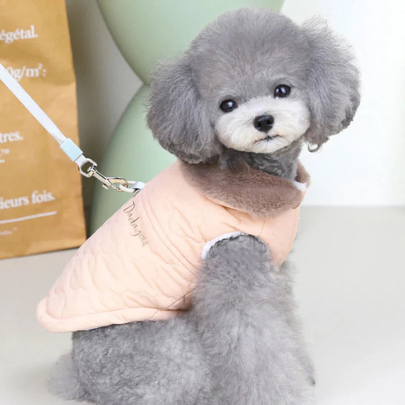 Manteau pour Bichon Maltais / Frisé