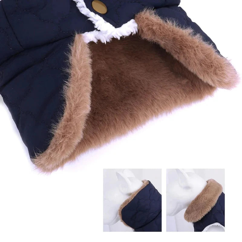Manteau pour Bichon Maltais / Frisé