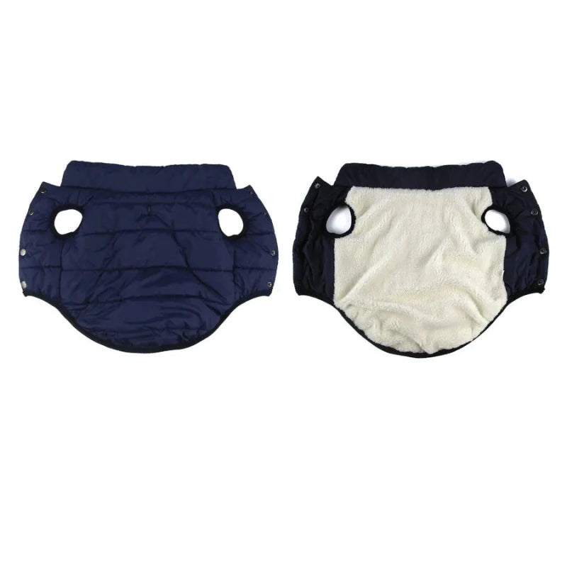 Manteau pour Border Collie & Chien moyen