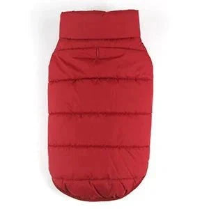Manteau pour Border Collie & Chien moyen