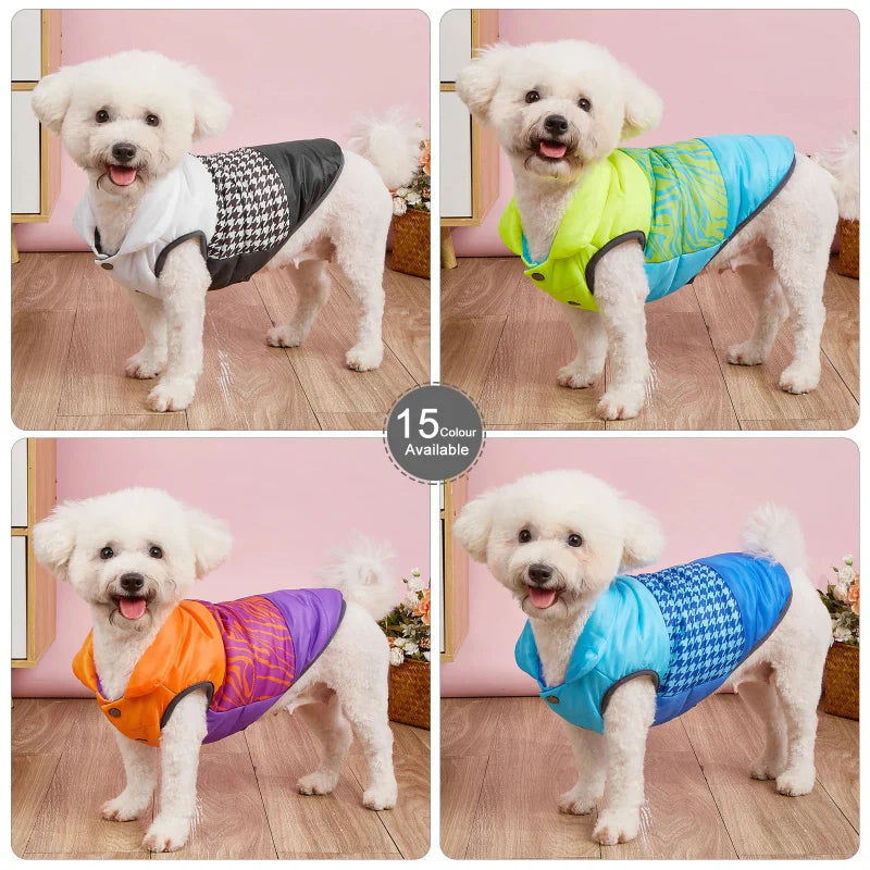 Manteau pour Border Collie & Chien moyen