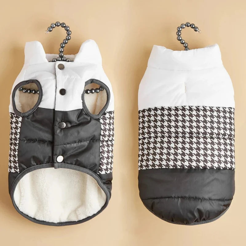 Manteau pour Border Collie & Chien moyen
