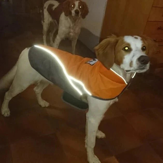Manteau pour Bulldog Anglais & Chien Moyen