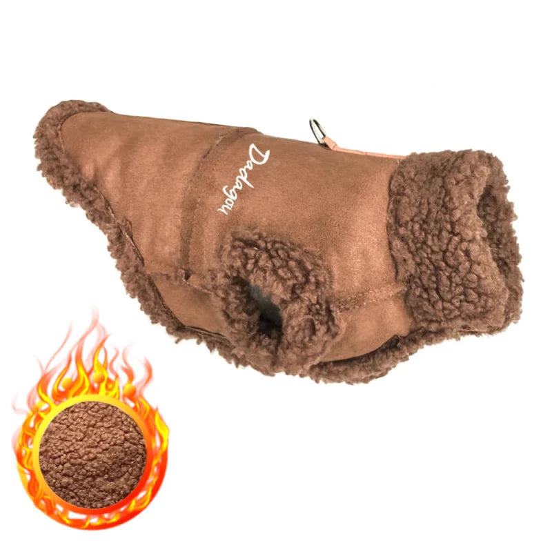 Manteau pour Caniche / Petit chien