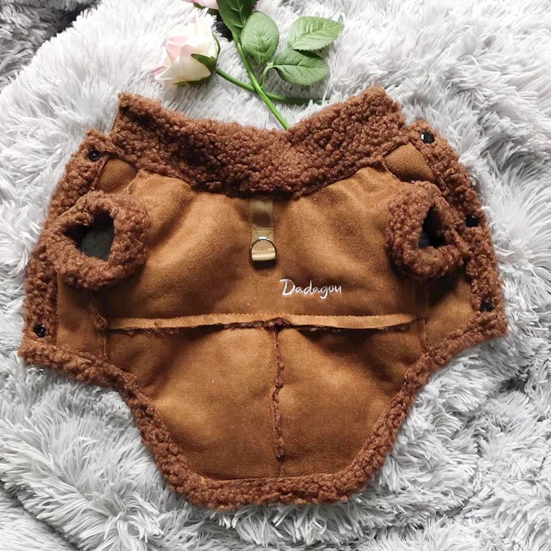Manteau pour Caniche / Petit chien