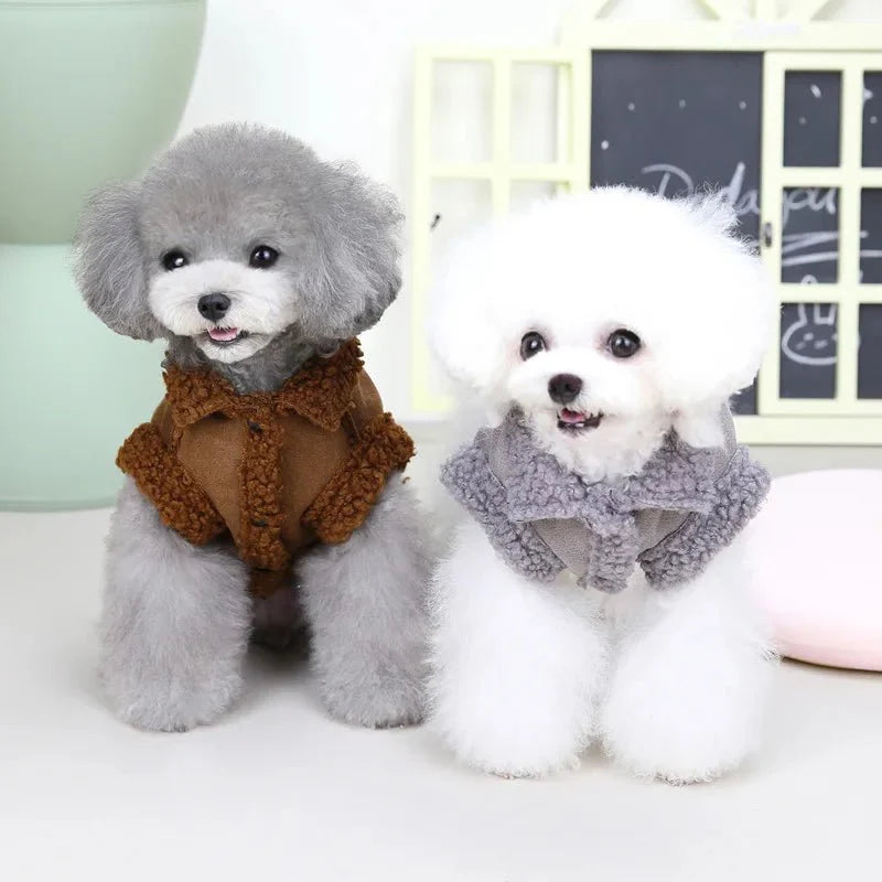Manteau pour Caniche / Petit chien