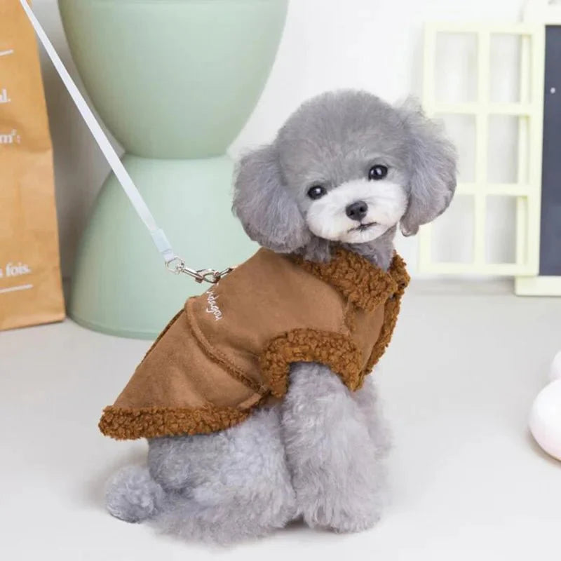 Manteau pour Caniche / Petit chien