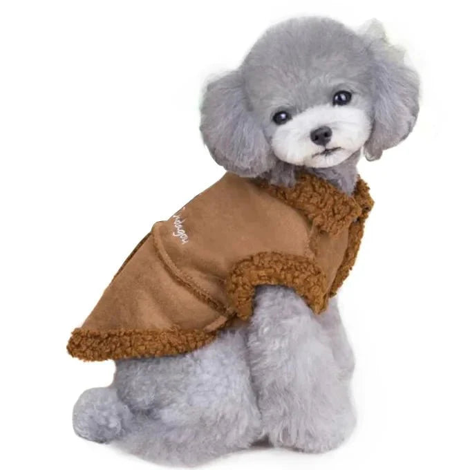 Manteau pour Caniche / Petit chien