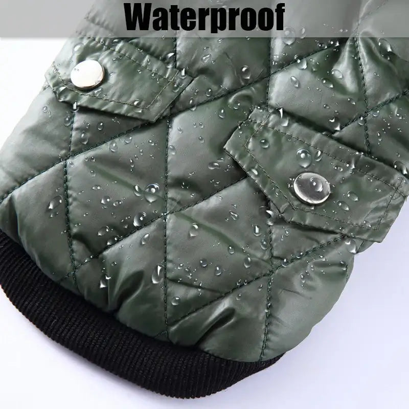Manteau Pour Chien Avec Capuche Fausse  Fourrure