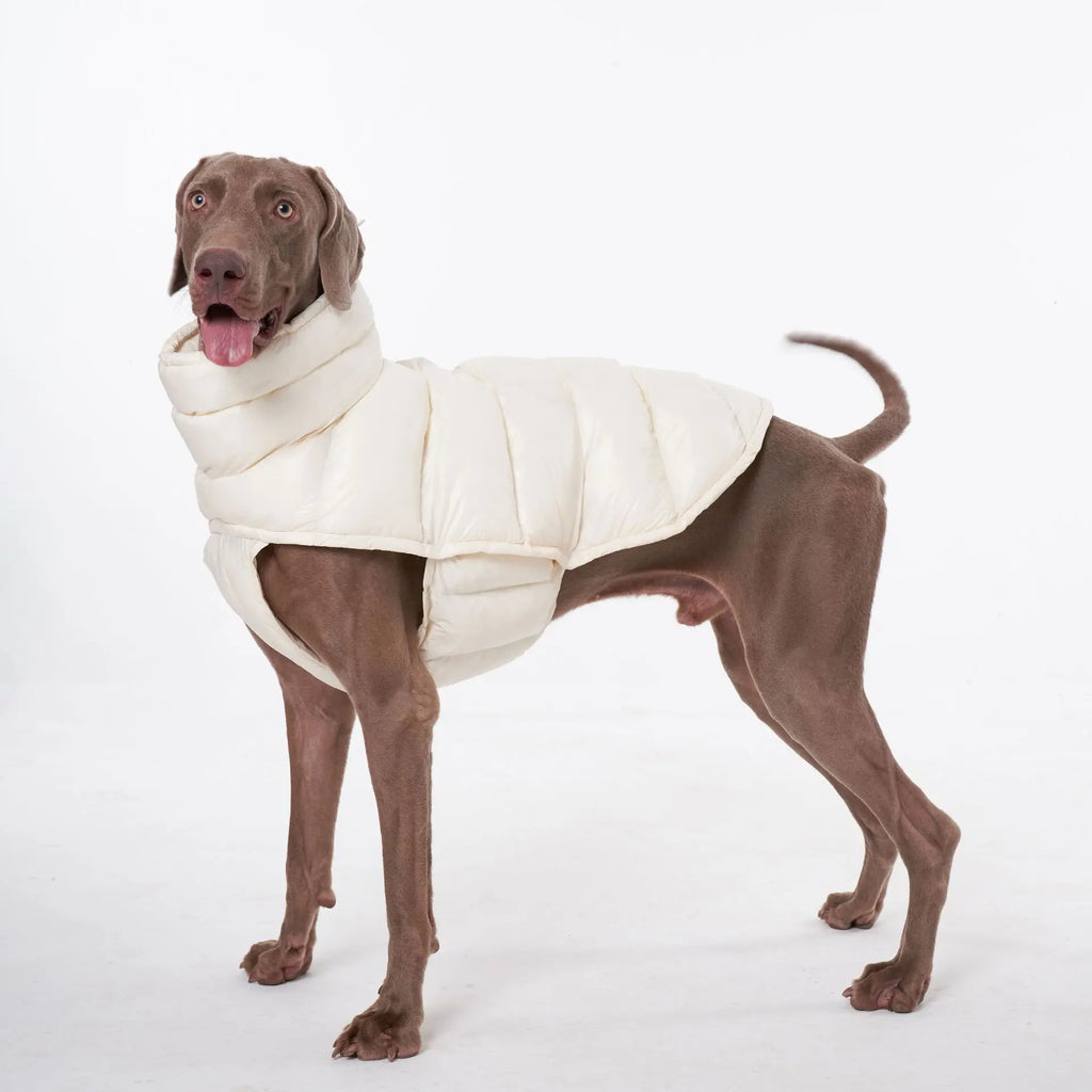 Doudoune pour Chien Avec Capuche Doublé Polaire