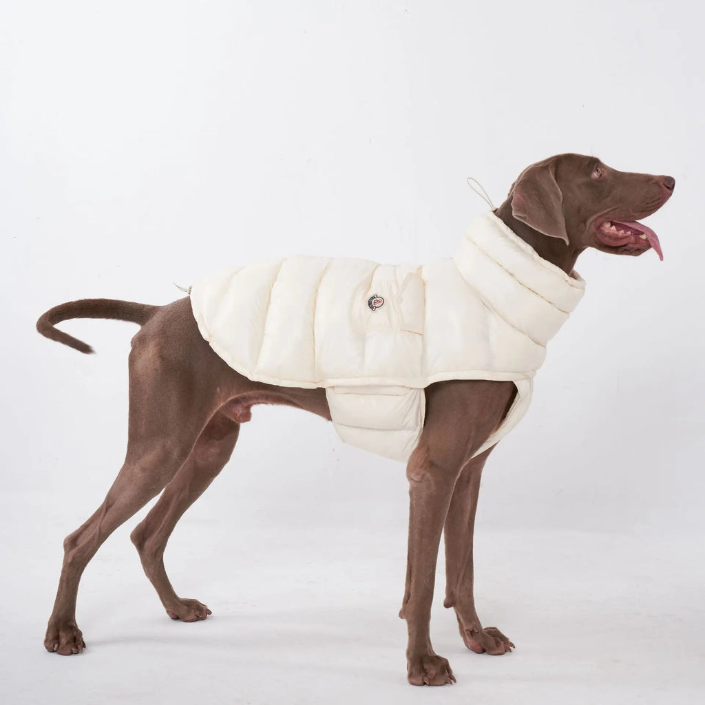 Doudoune pour Chien Avec Capuche Doublé Polaire