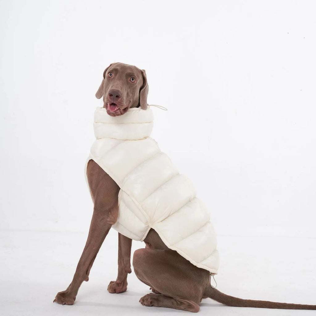 Doudoune pour Chien Avec Capuche Doublé Polaire