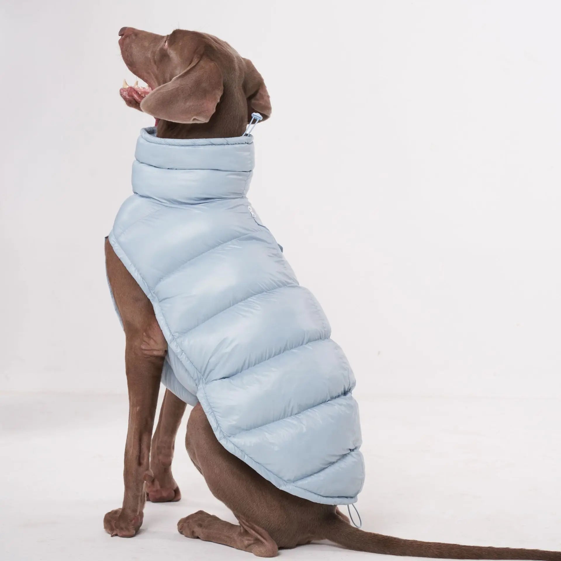 Doudoune pour Chien Avec Capuche Doublé Polaire