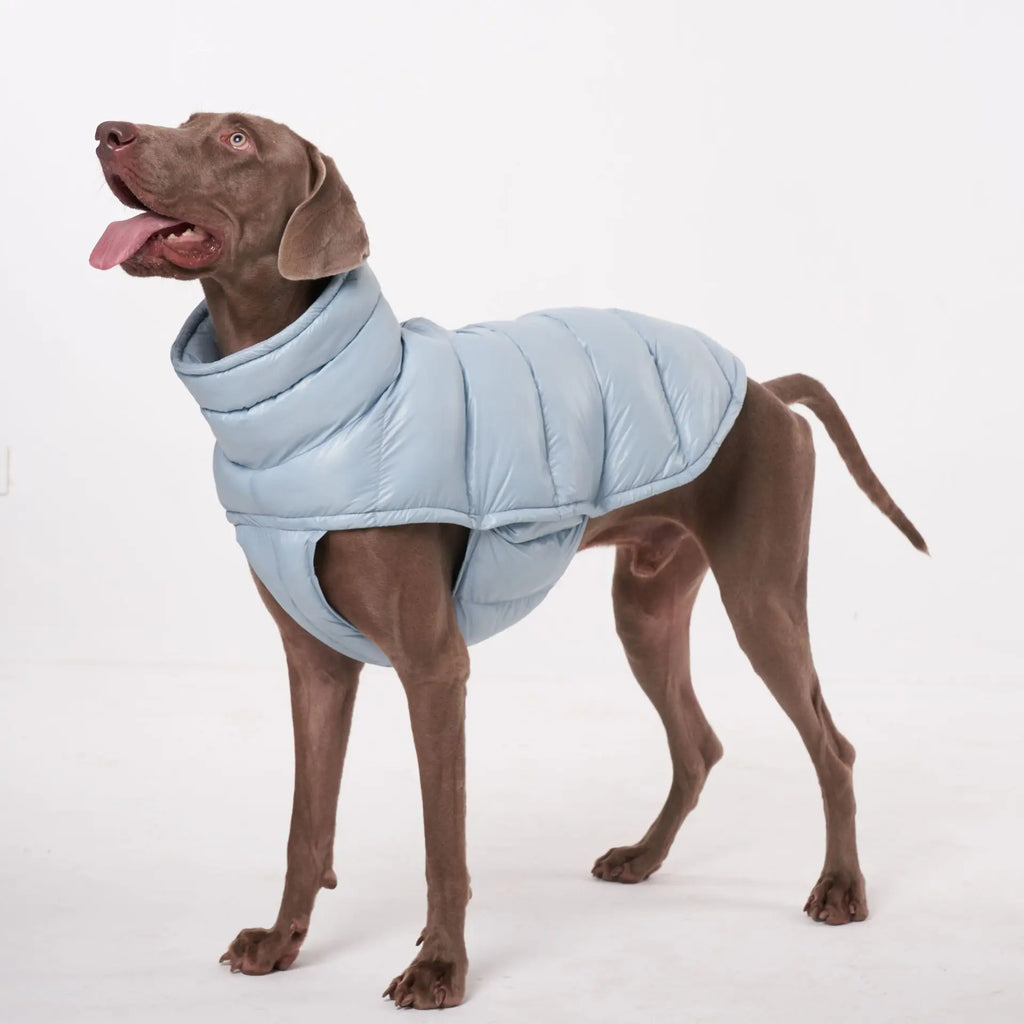 Doudoune pour Chien Avec Capuche Doublé Polaire