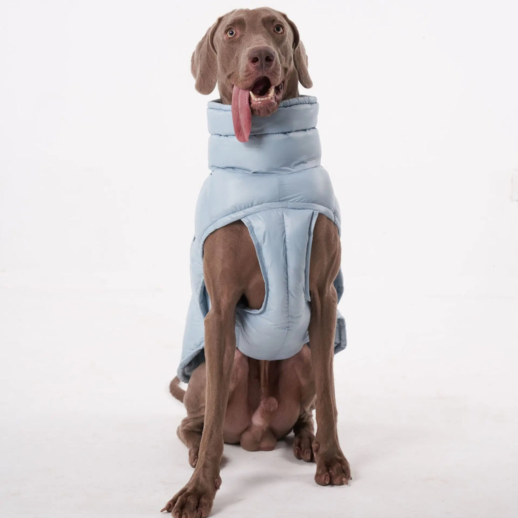 Doudoune pour Chien Avec Capuche Doublé Polaire