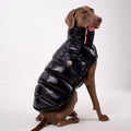 Manteau pour chien noir d'Oscar et Plume avec col haut et rembourrage pour un confort optimal