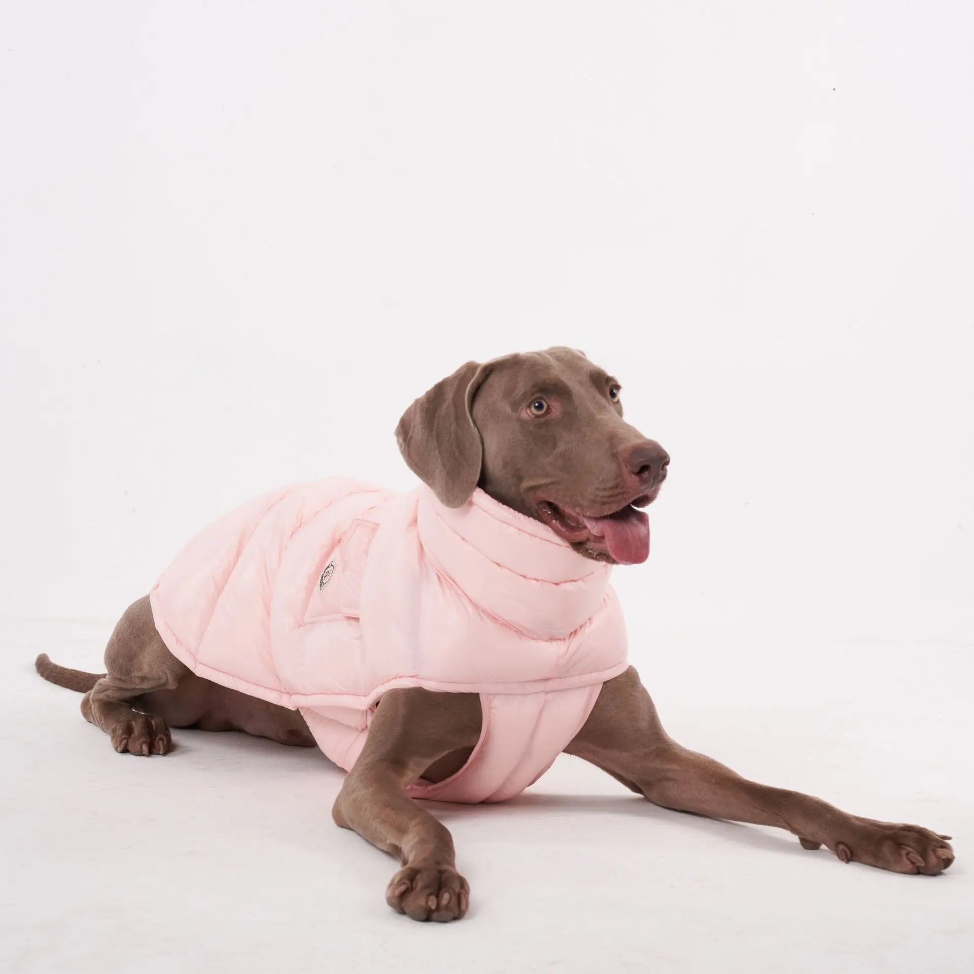 Doudoune pour Chien Avec Capuche Doublé Polaire - Les Bonnes Affaires