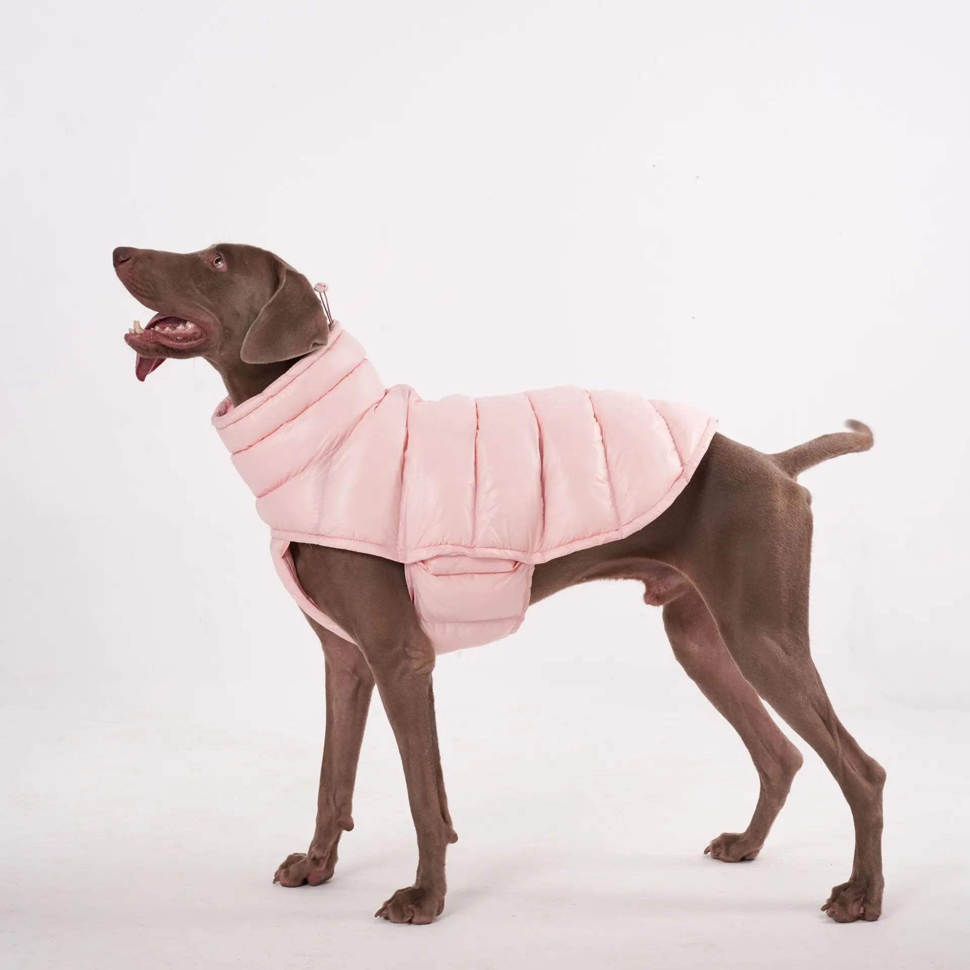 Doudoune pour Chien Avec Capuche Doublé Polaire - Les Bonnes Affaires