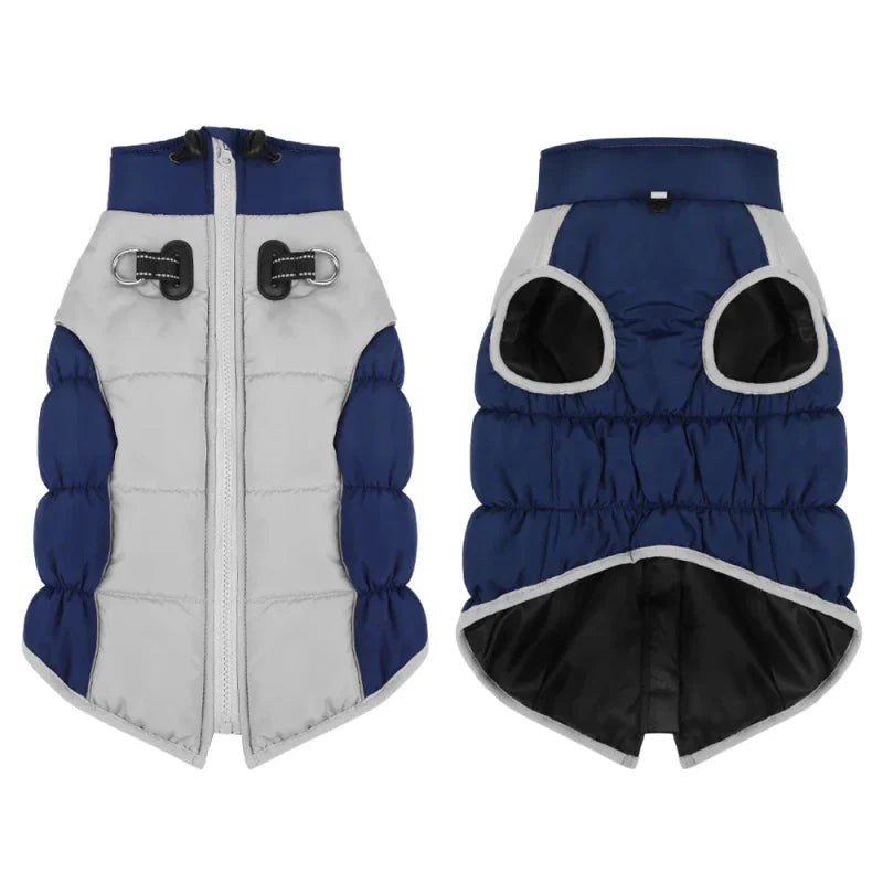 Manteau pour Dobermann / Grand chien