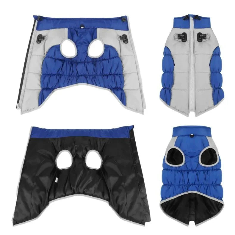 Manteau pour Dobermann / Grand chien