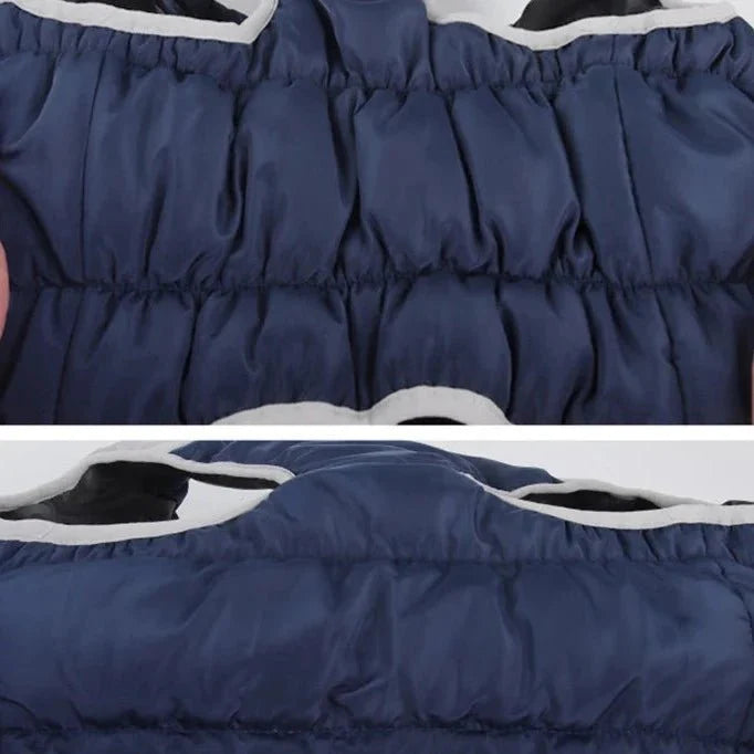 Manteau pour Dobermann / Grand chien